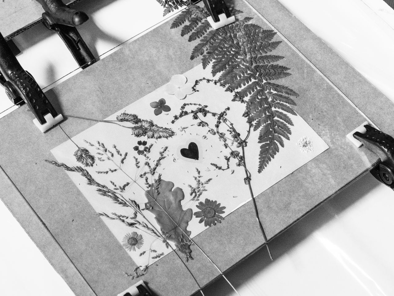 Photos en Mai 2023 ©Les Photos d'Héloïse